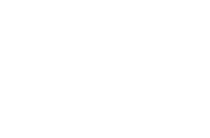 bloc train