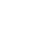 icon_ocean_freight_3_white