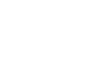 icon_road_freight_white