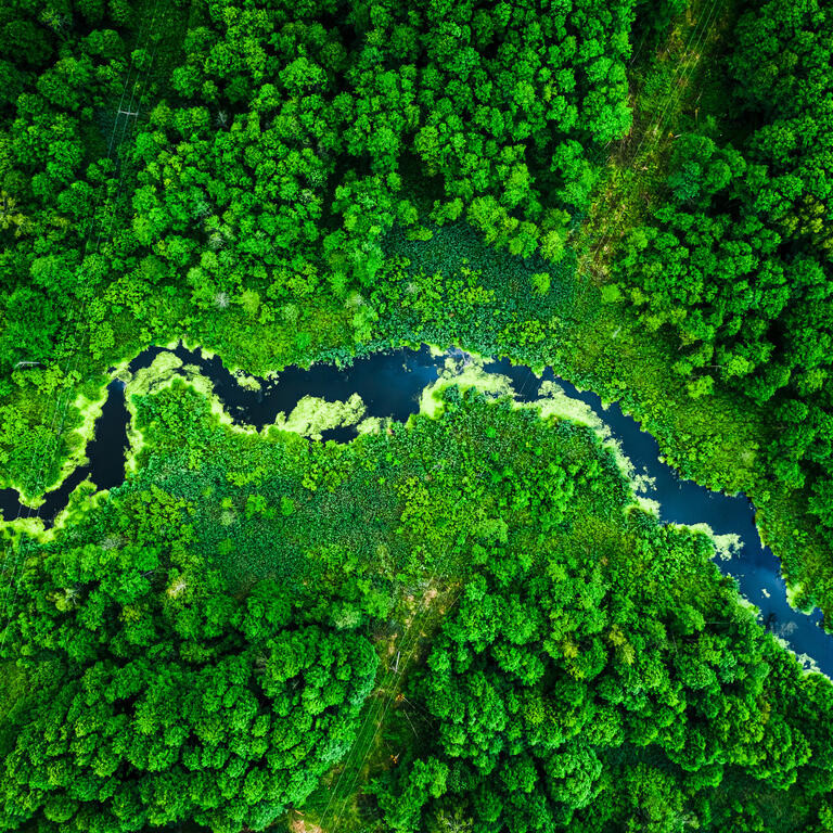 Amazing blooming algae on green river, aerial view