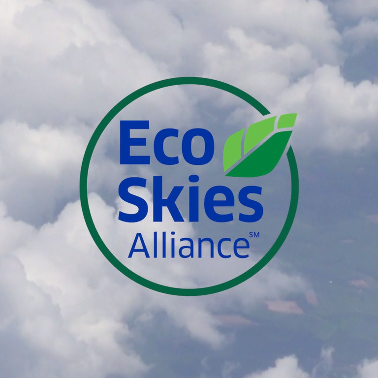 eco-skies